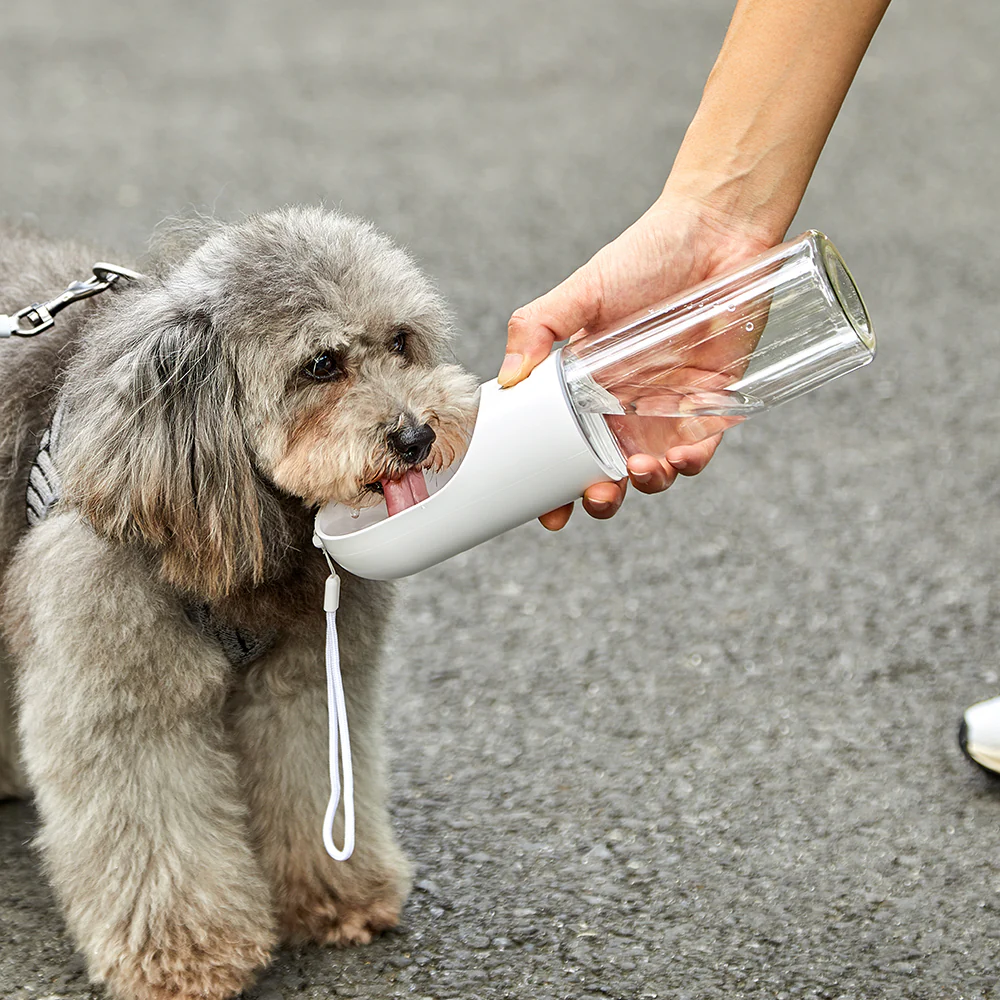 PETKIT Eversweet Grey Travel Water Bottle 400ml - Image 4