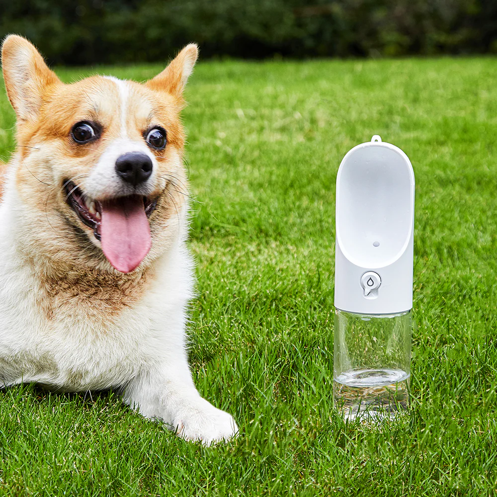 PETKIT Eversweet White Travel Water Bottle 400ml - Image 5