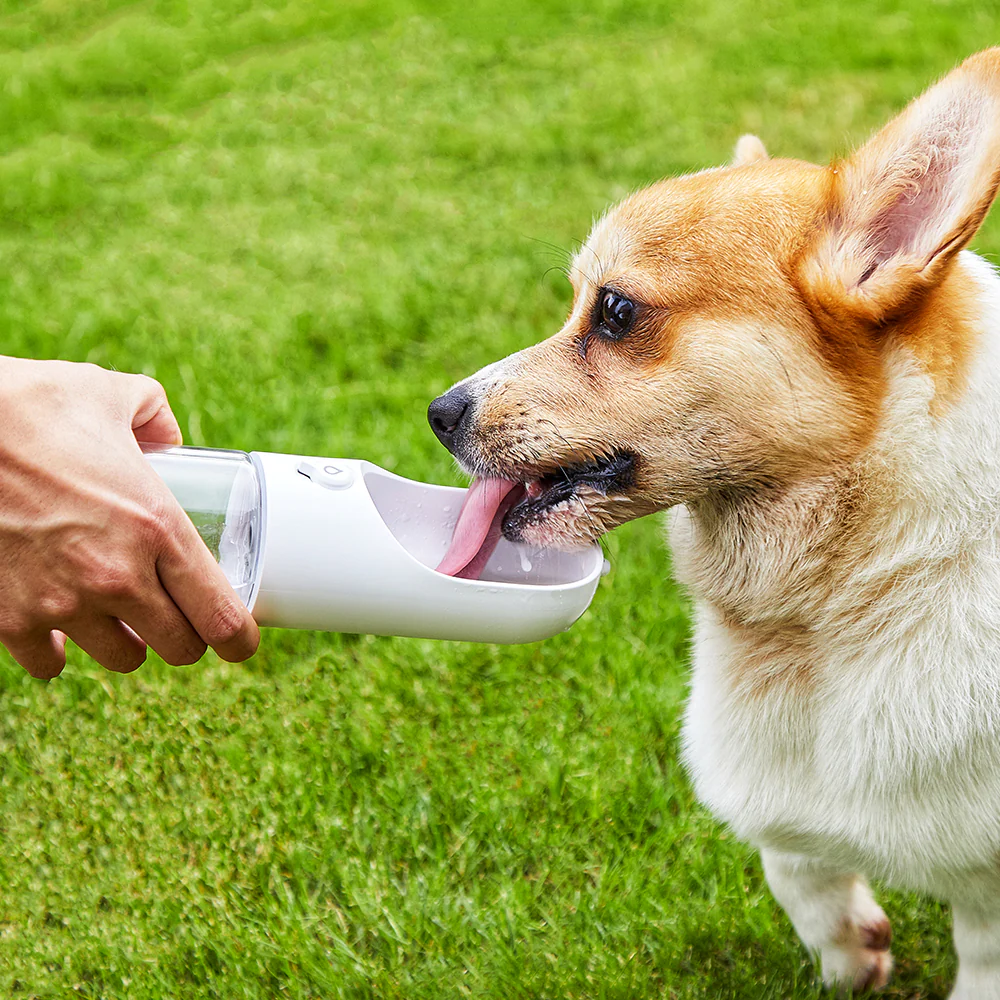 PETKIT Eversweet White Travel Water Bottle 400ml - Image 6
