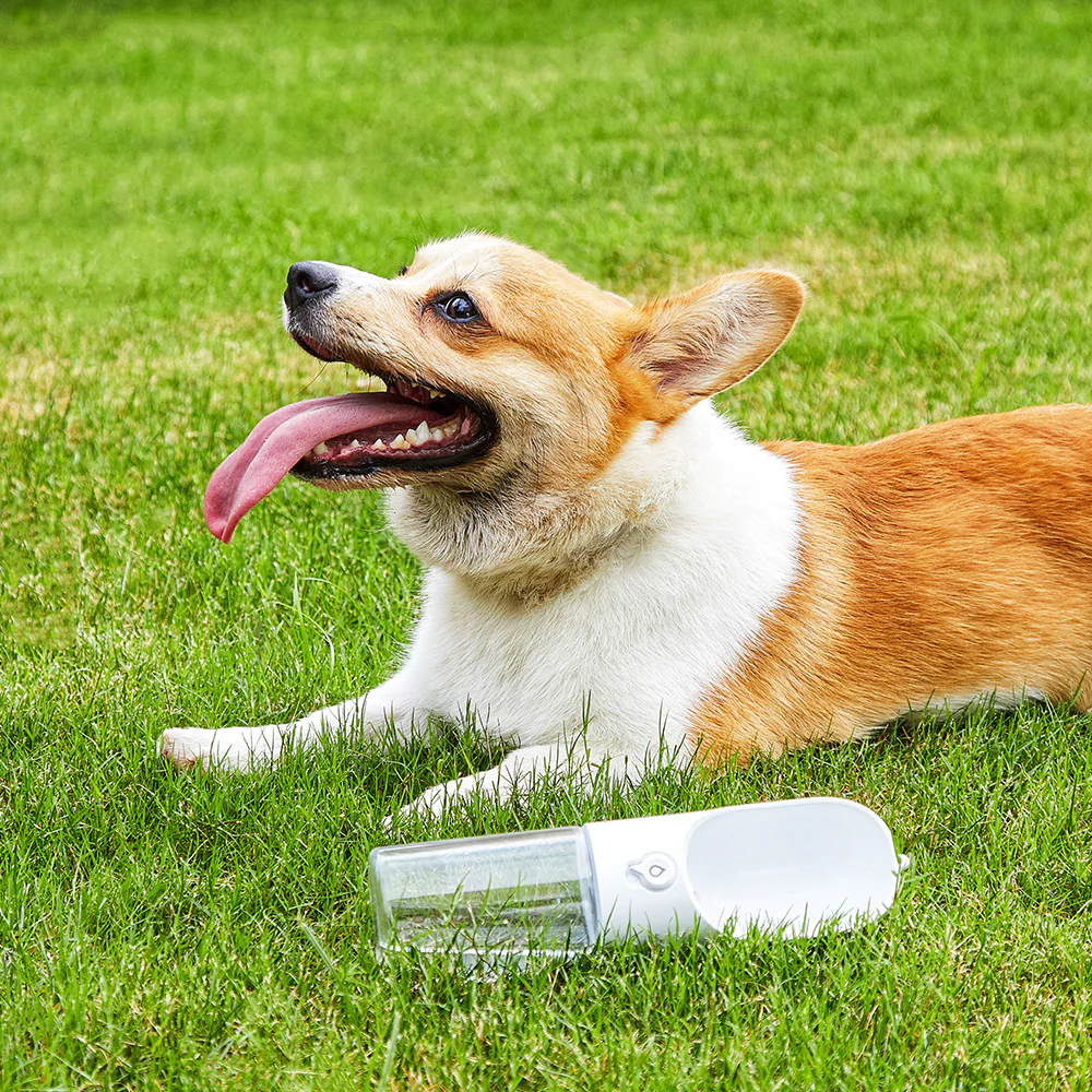 PETKIT Eversweet White Travel Water Bottle 400ml - Image 7