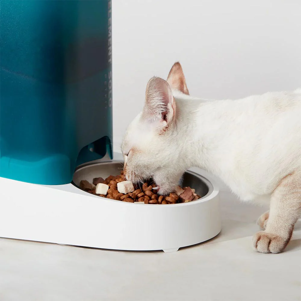 PETKIT White Fresh Element SOLO Pet Feeder - Image 2