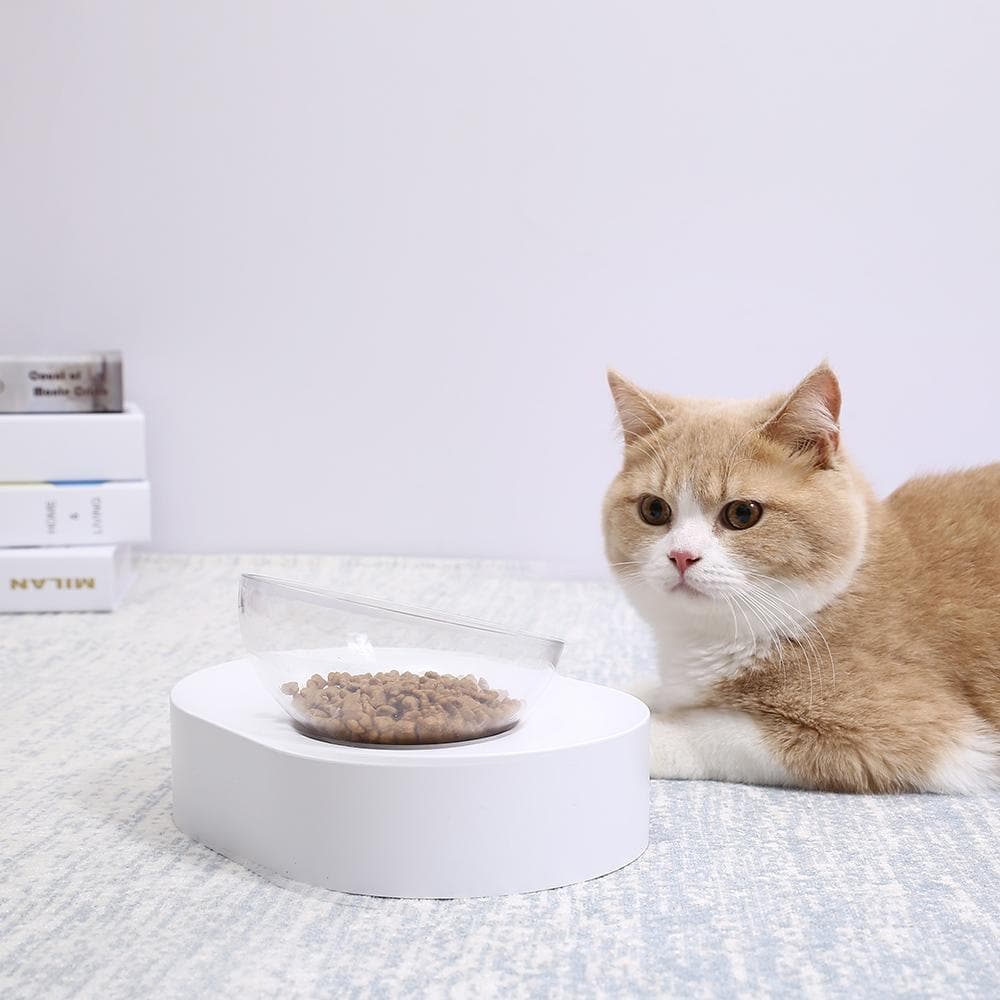 PETKIT Fresh Nano-15° Adjustable Single Pet Feeding Bowl - Image 3