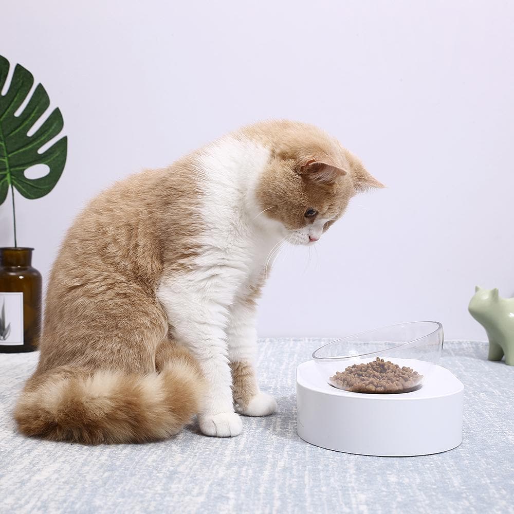 PETKIT Fresh Nano-15° Adjustable Single Pet Feeding Bowl - Image 4