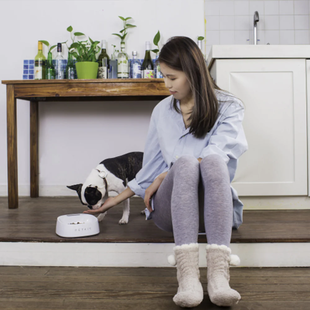 PETKIT Fresh Smart Bowl - Image 5
