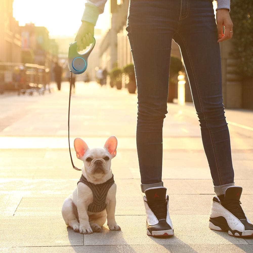 PETKIT Go Shine Dog Retractable Leash 4.7m - Image 4