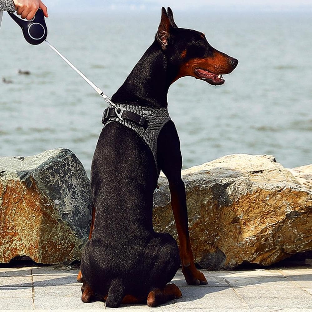 PETKIT Air Fly Large Dog Harness - Image 6