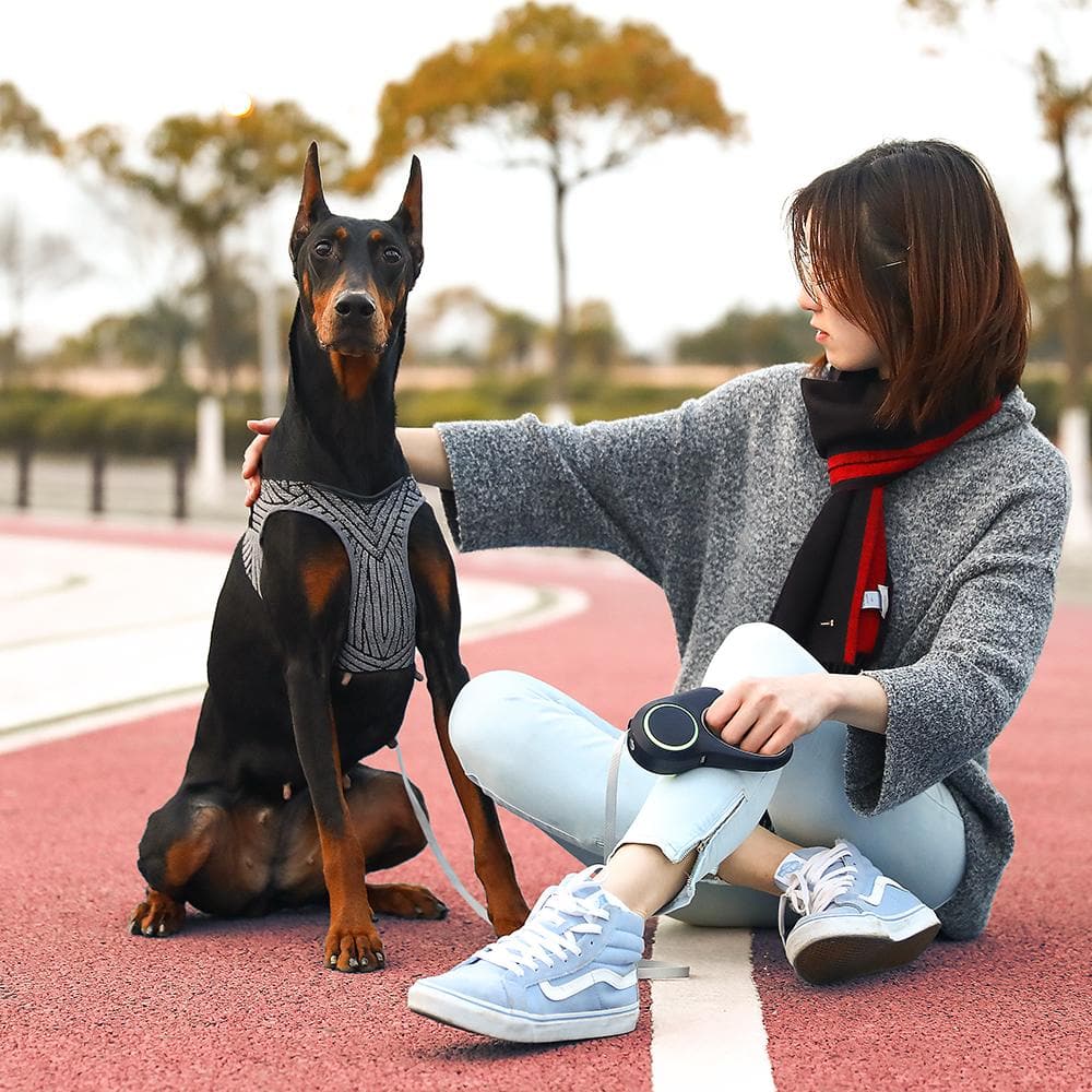 PETKIT Air Fly Medium Dog Harness - Image 5
