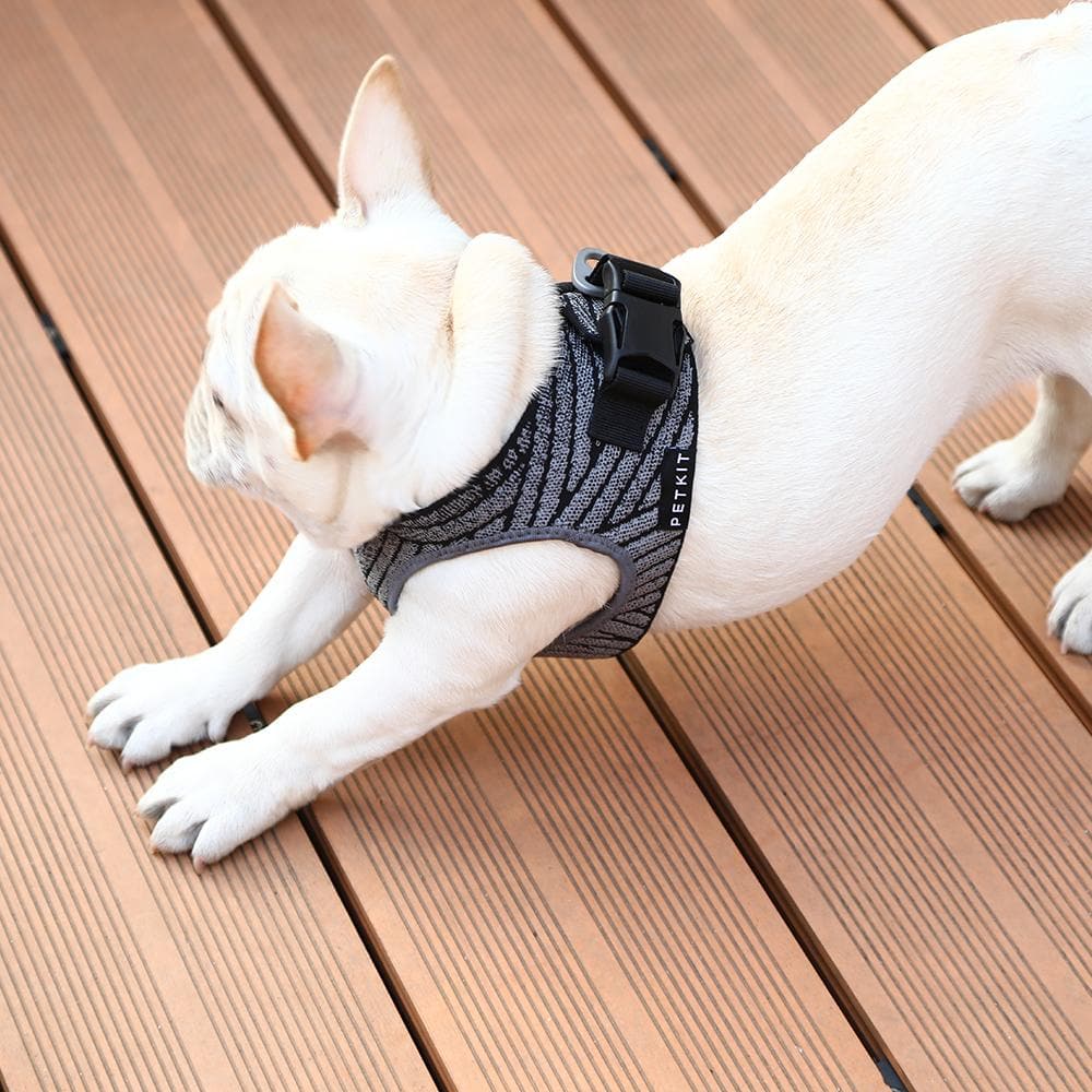 PETKIT Air Fly Small Dog Harness - Image 5