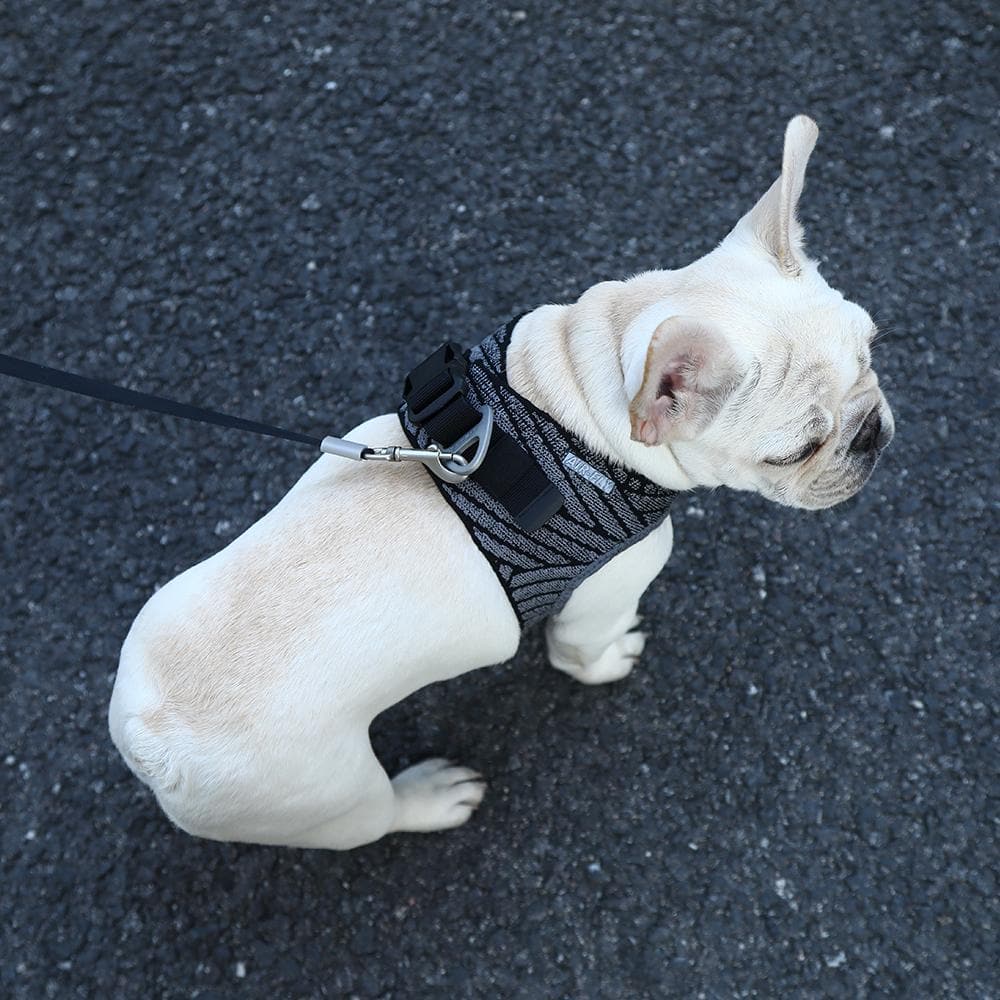 PETKIT Air Fly Extra Small Dog Harness - Image 4