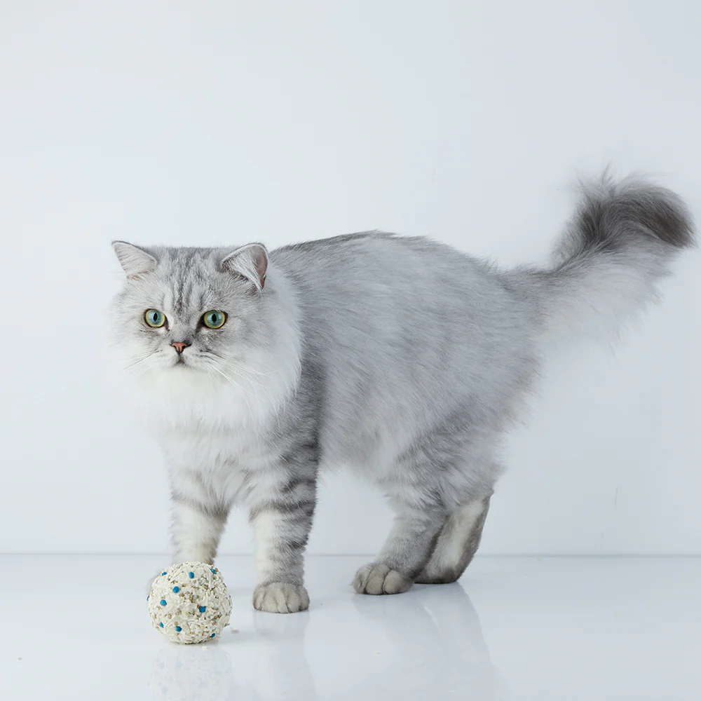PETKIT Occult Blood Test Mixed Cat Litter - Image 9