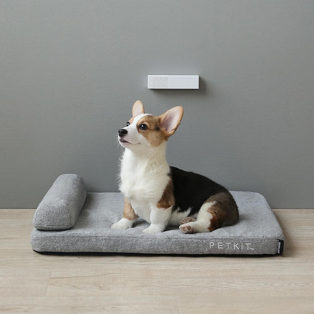 PETKIT Pura Air Smart Odour Eliminator for Pet Litter Box & Tray(No replacement filter available) - Image 4