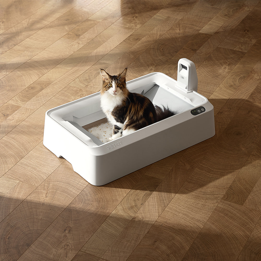 PETKIT Purobot Crystal Duo With Camera Self-Cleaning Cat Litter Box - Image 7