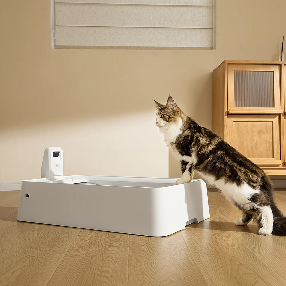 PETKIT Purobot Crystal Duo With Camera Self-Cleaning Cat Litter Box - Image 9