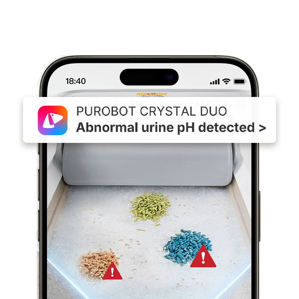 PETKIT Urine Monitor Crystal Cat Litter Set -4 Packs - Image 2