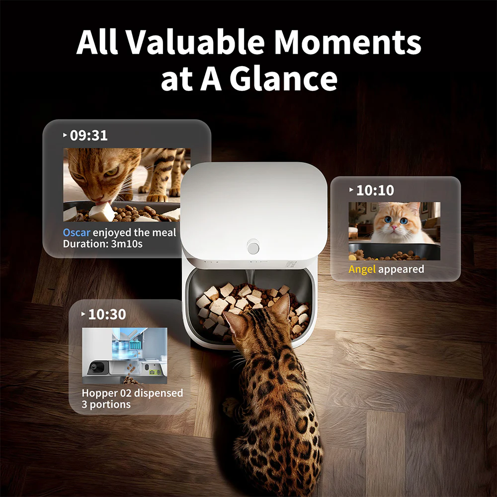 PETKIT YumShare Dual-Hopper 2 Smart Feeder With Camera - Image 11