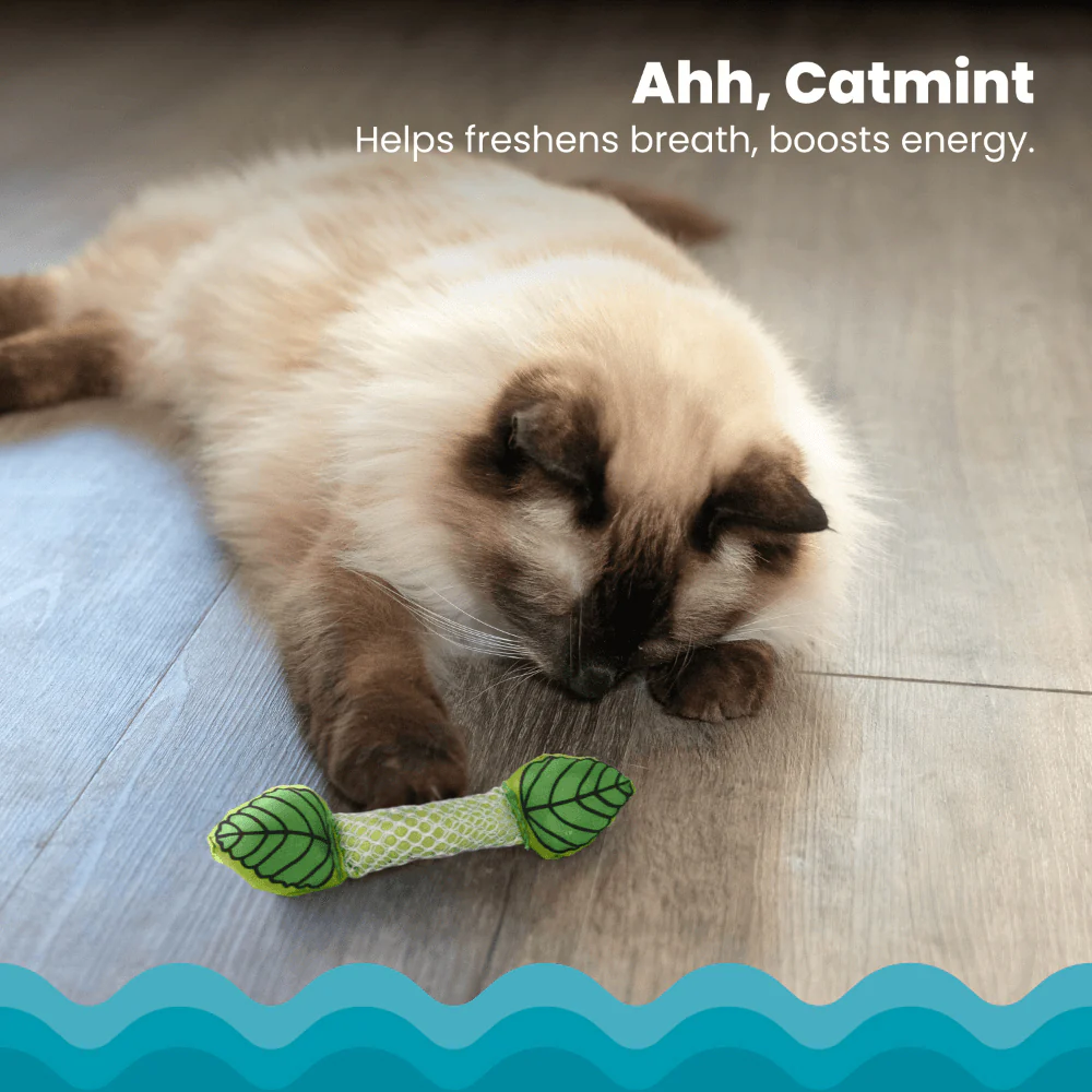 PETSTAGES Fresh Breath Mint Stick Cat Toy - Image 8