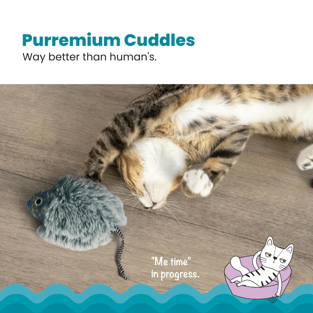 PETSTAGES Nighttime Cuddle Cat Toy - Image 7