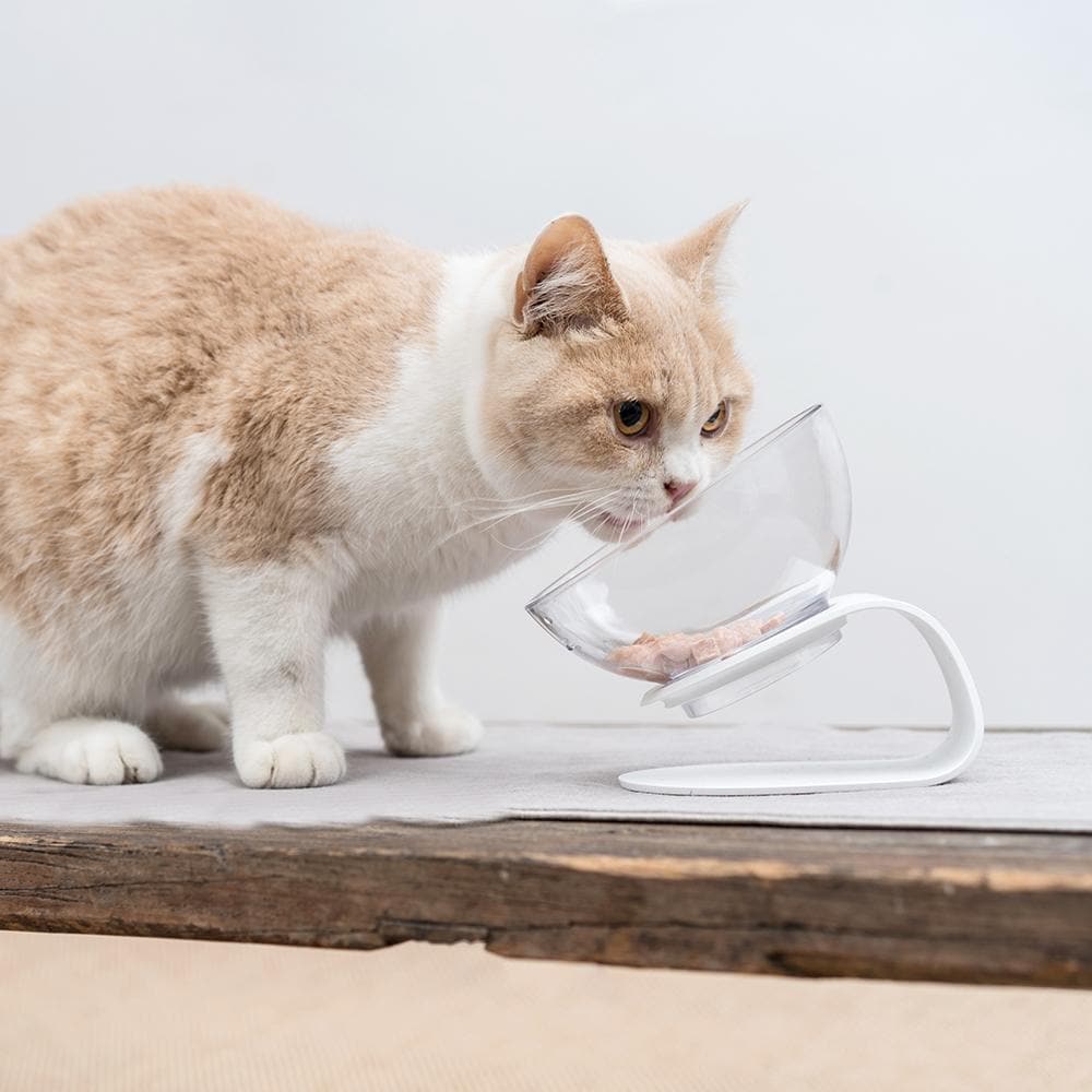 Pidan Tilted Cat Bowl - Image 4