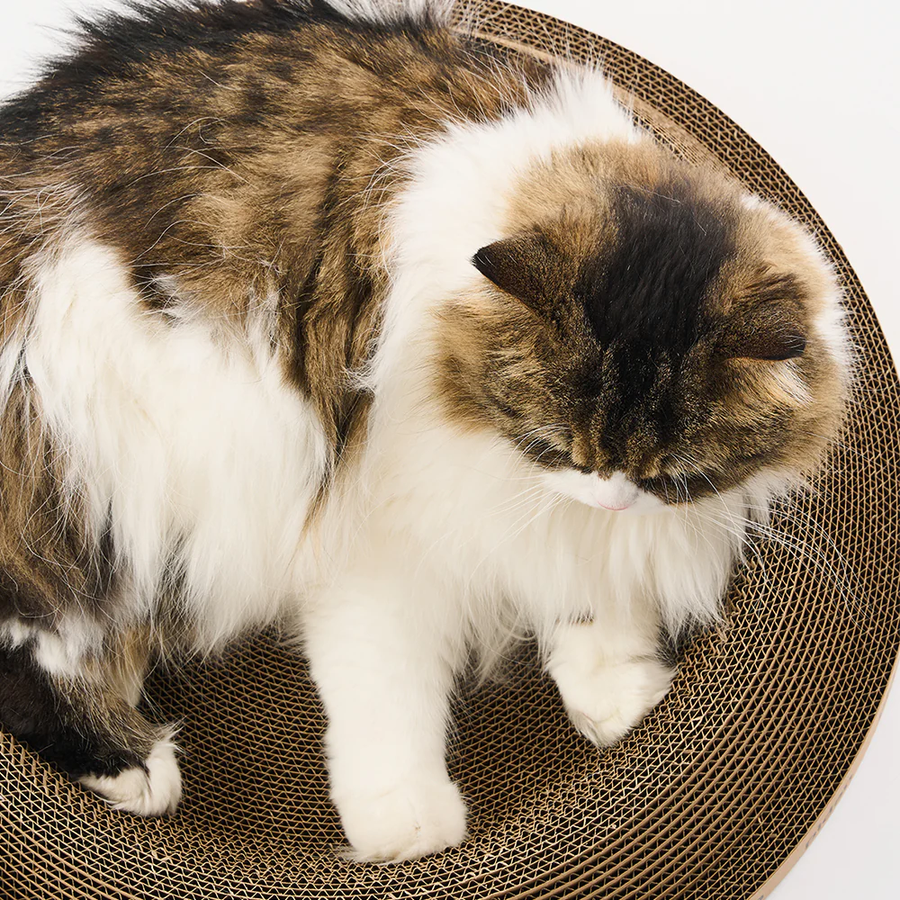 PIDAN Cat Scratcher Cone Type - Image 12