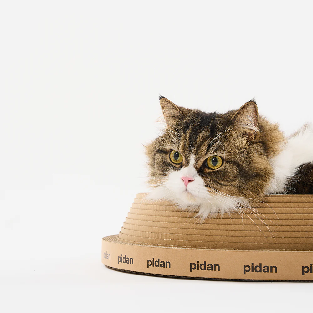 PIDAN Cat Scratcher Cone Type - Image 9