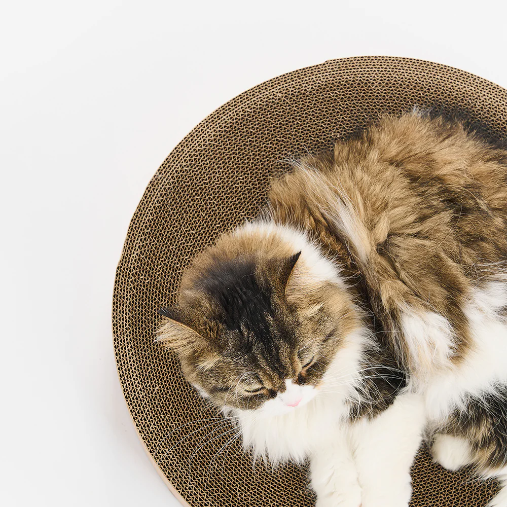 PIDAN Cat Scratcher Round Type - Image 10