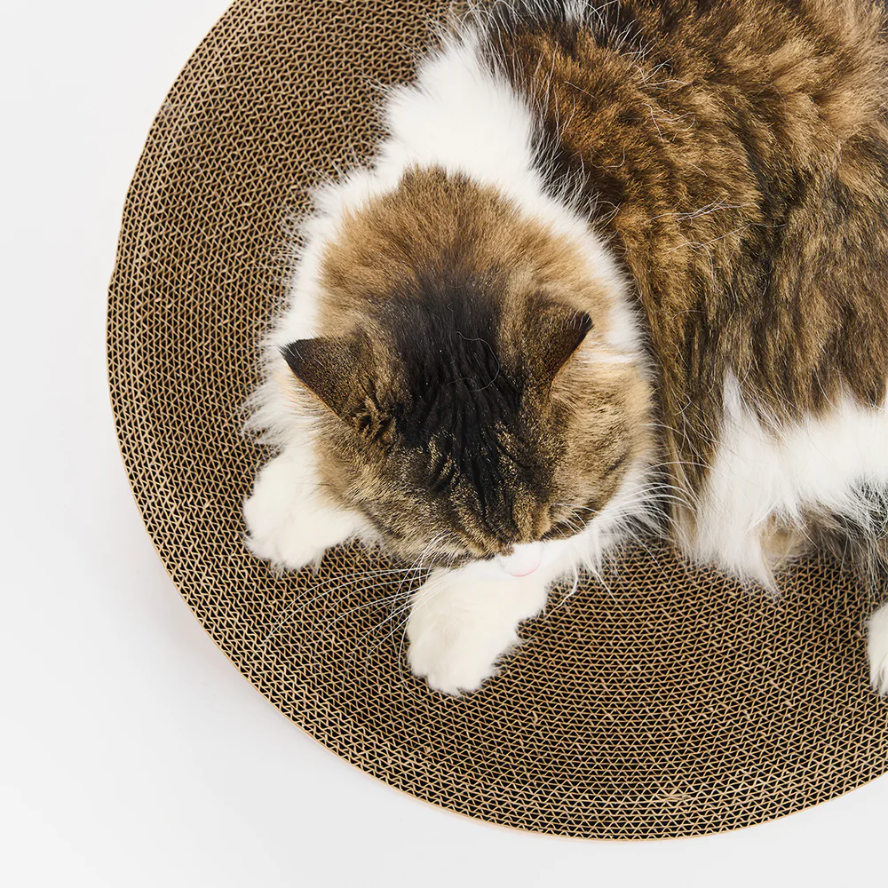 PIDAN Cat Scratcher Round Type - Image 11