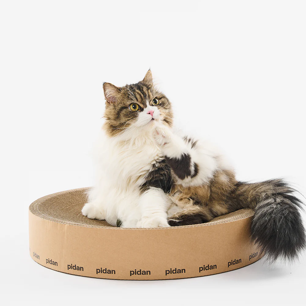 PIDAN Cat Scratcher Round Type - Image 12