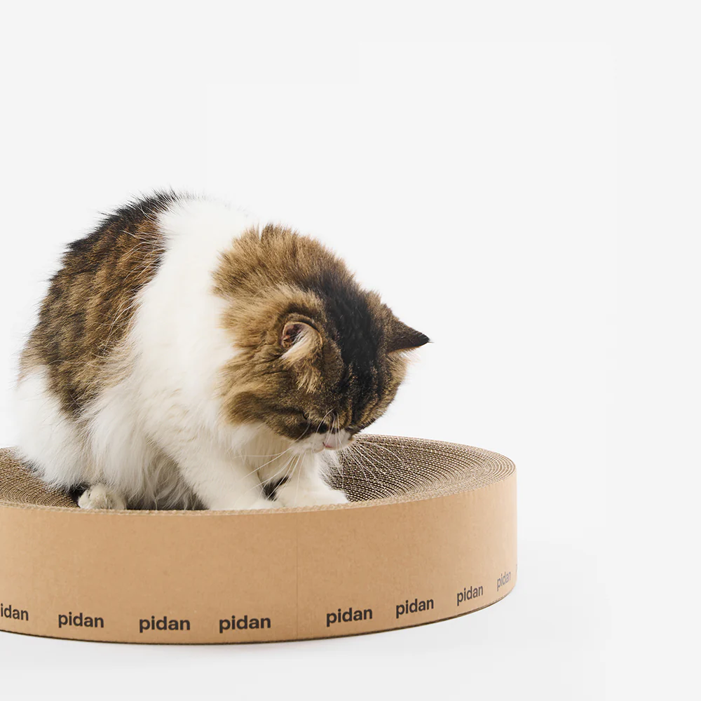 PIDAN Cat Scratcher Round Type - Image 13