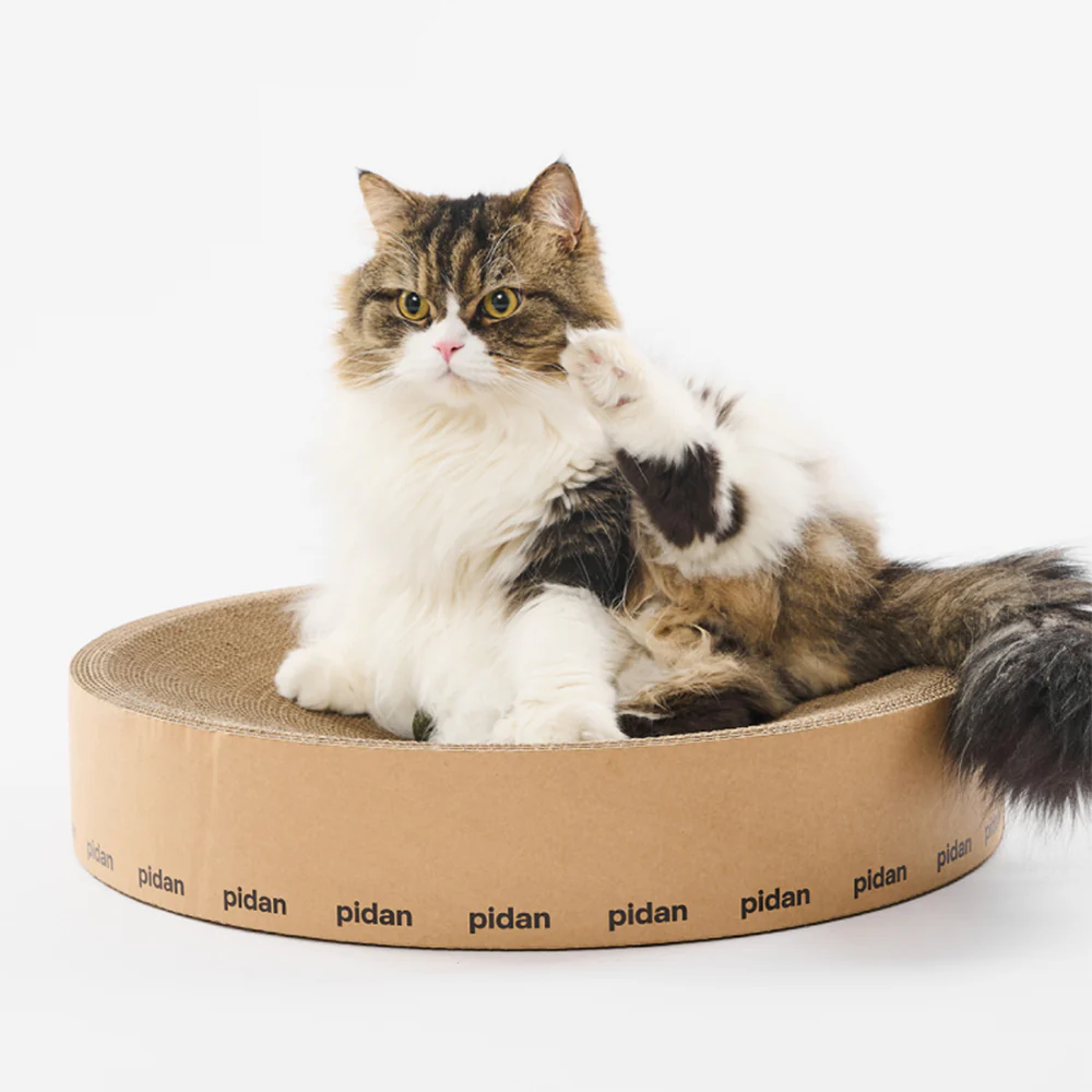 PIDAN Cat Scratcher Round Type - Image 8