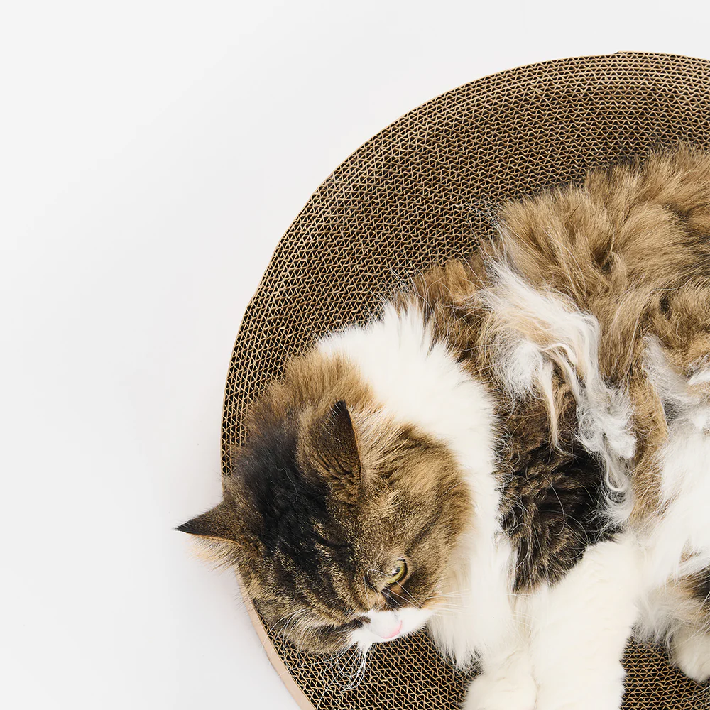 PIDAN Cat Scratcher Round Type - Image 9