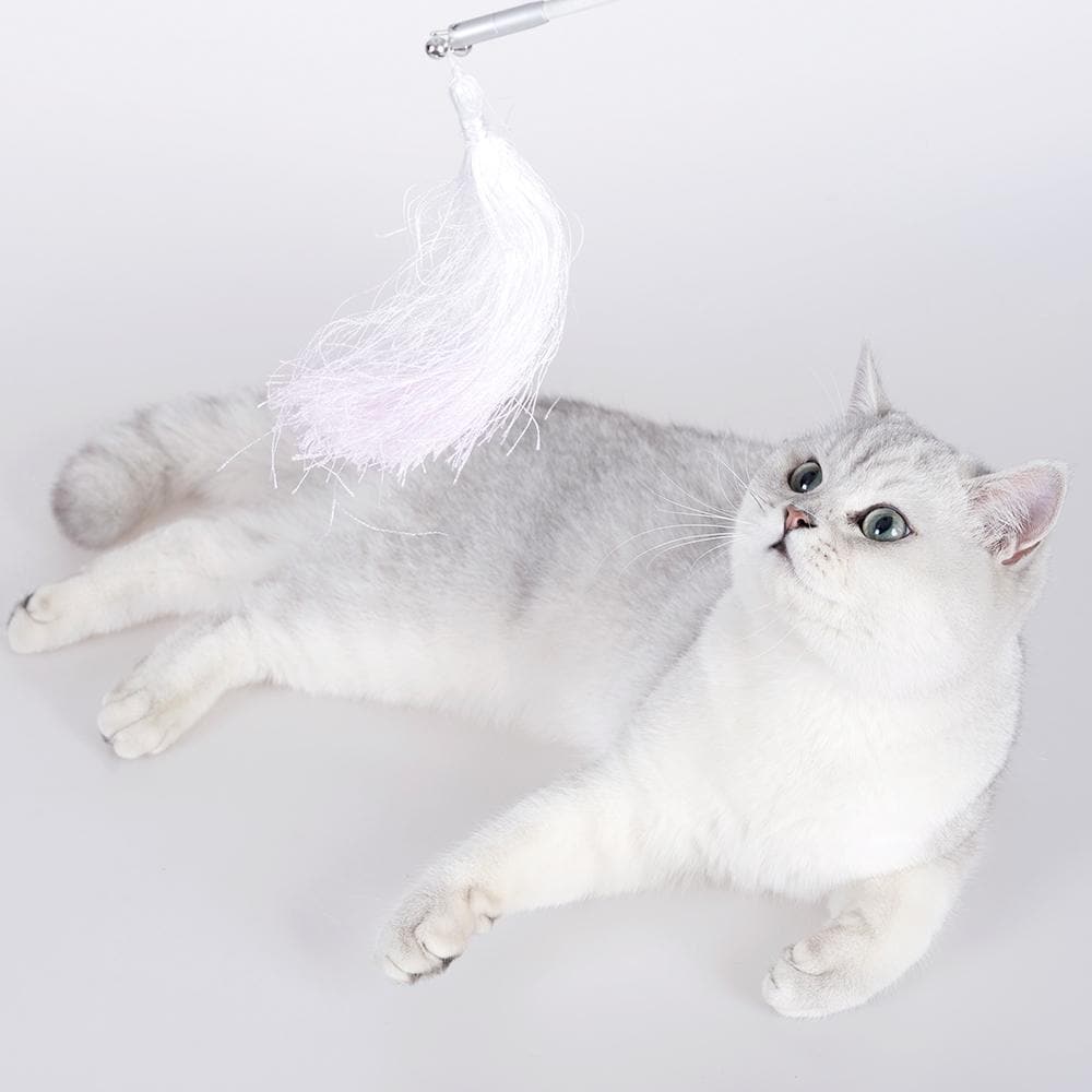 PIDAN A4 Cat Teaser Refill 2pcs Tassel - Image 2