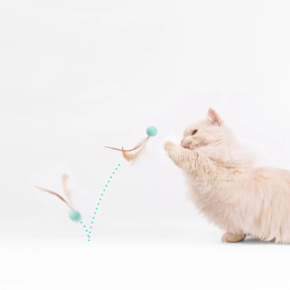 PIDAN Bouncy Balls Cat Toy 3 Pieces - Image 4