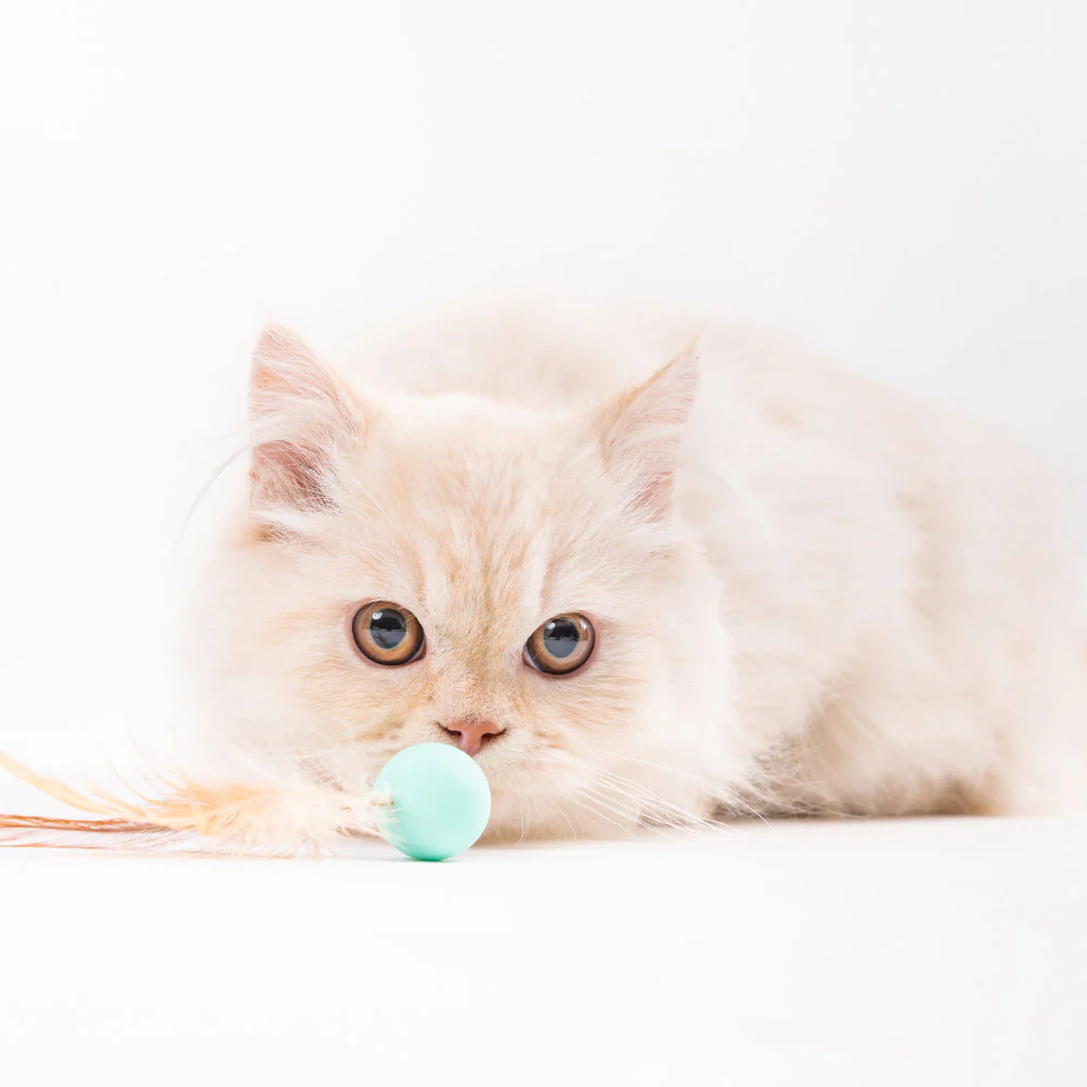 PIDAN Bouncy Balls Cat Toy 3 Pieces - Image 5