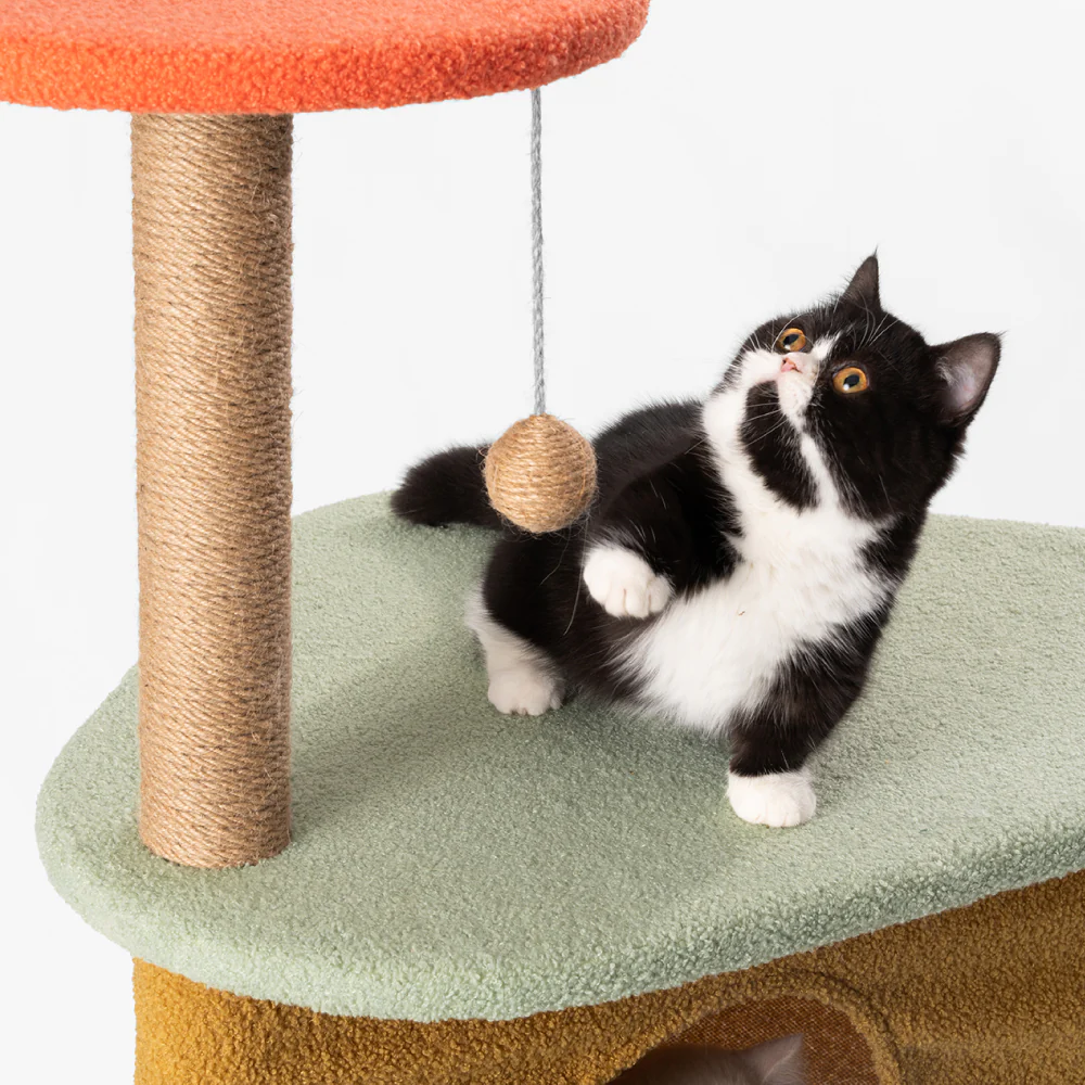PIDAN Fun Play Cat Tree - Image 3