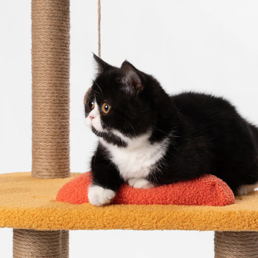 PIDAN Jump Jump Cat Tree - Image 2