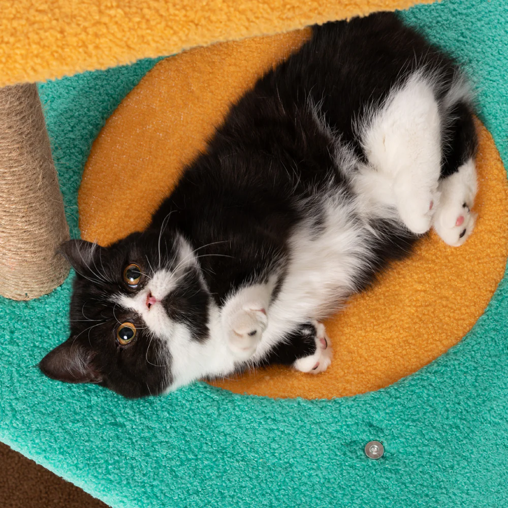 PIDAN Jump Jump Cat Tree - Image 3