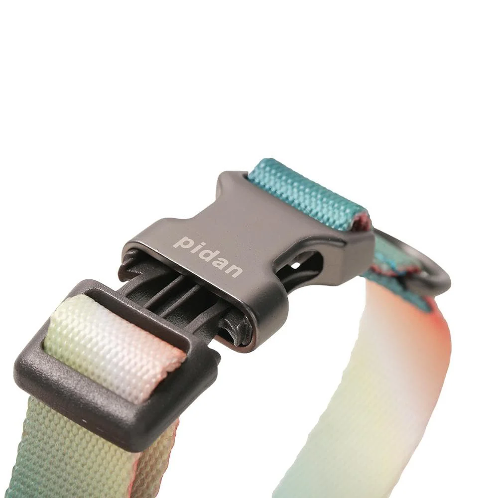 PIDAN A2 Dog Collar - Image 3