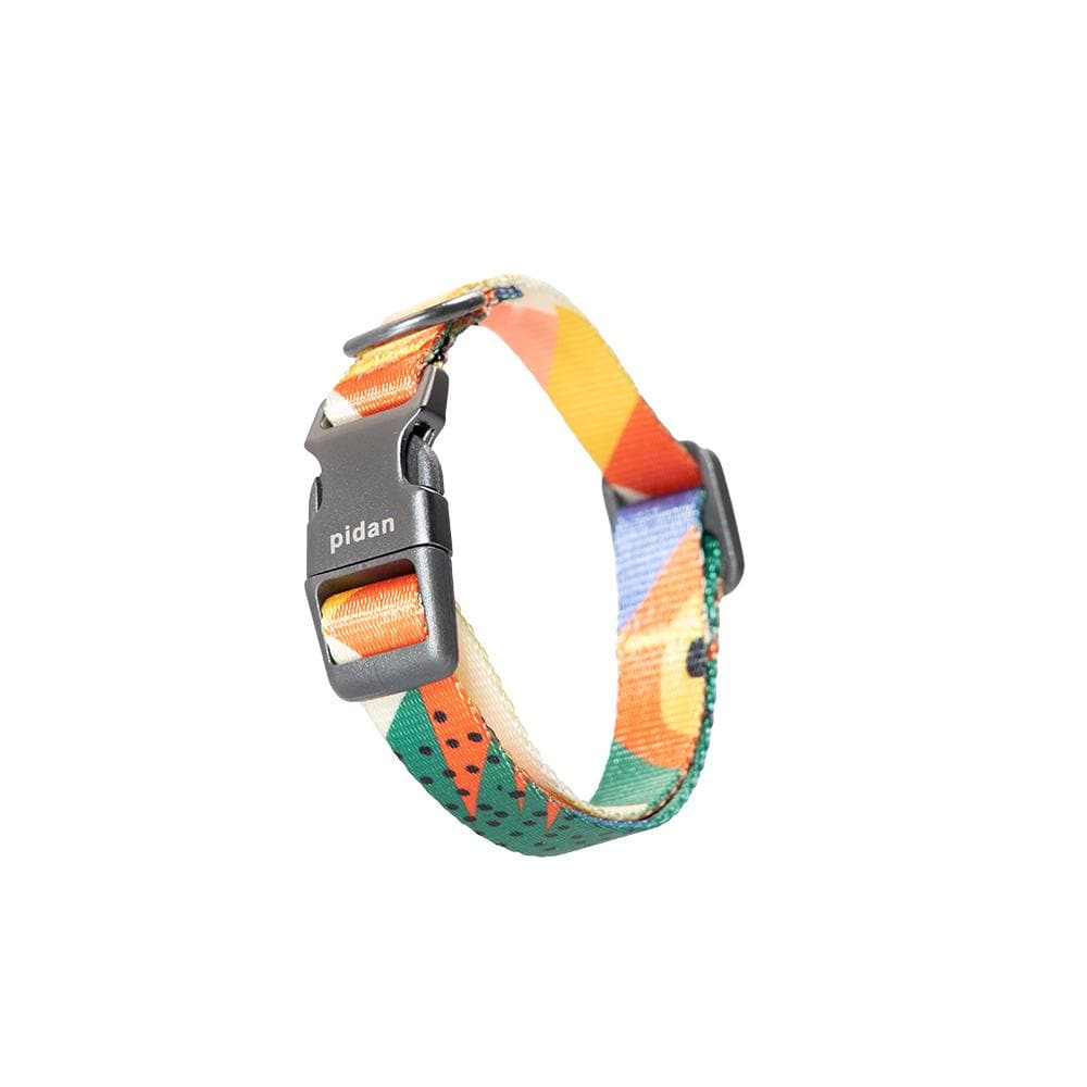 PIDAN S1 Dog Collar - Image 2
