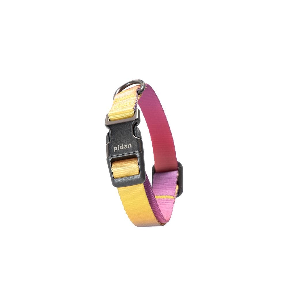 PIDAN S3 Dog Collar - Image 3