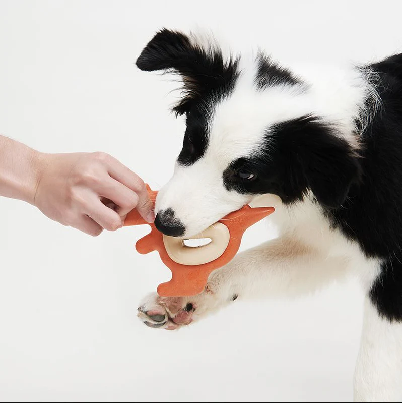 PIDAN Dinosaur Dog Chew Toy - Image 3