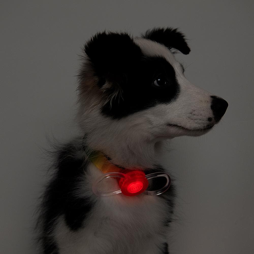 PIDAN Safety Light for Dogs - Image 2