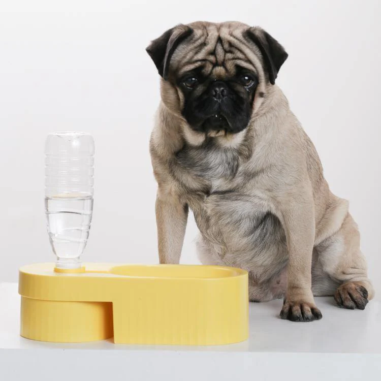 PIDAN Dual Bowl For Pets - Image 9