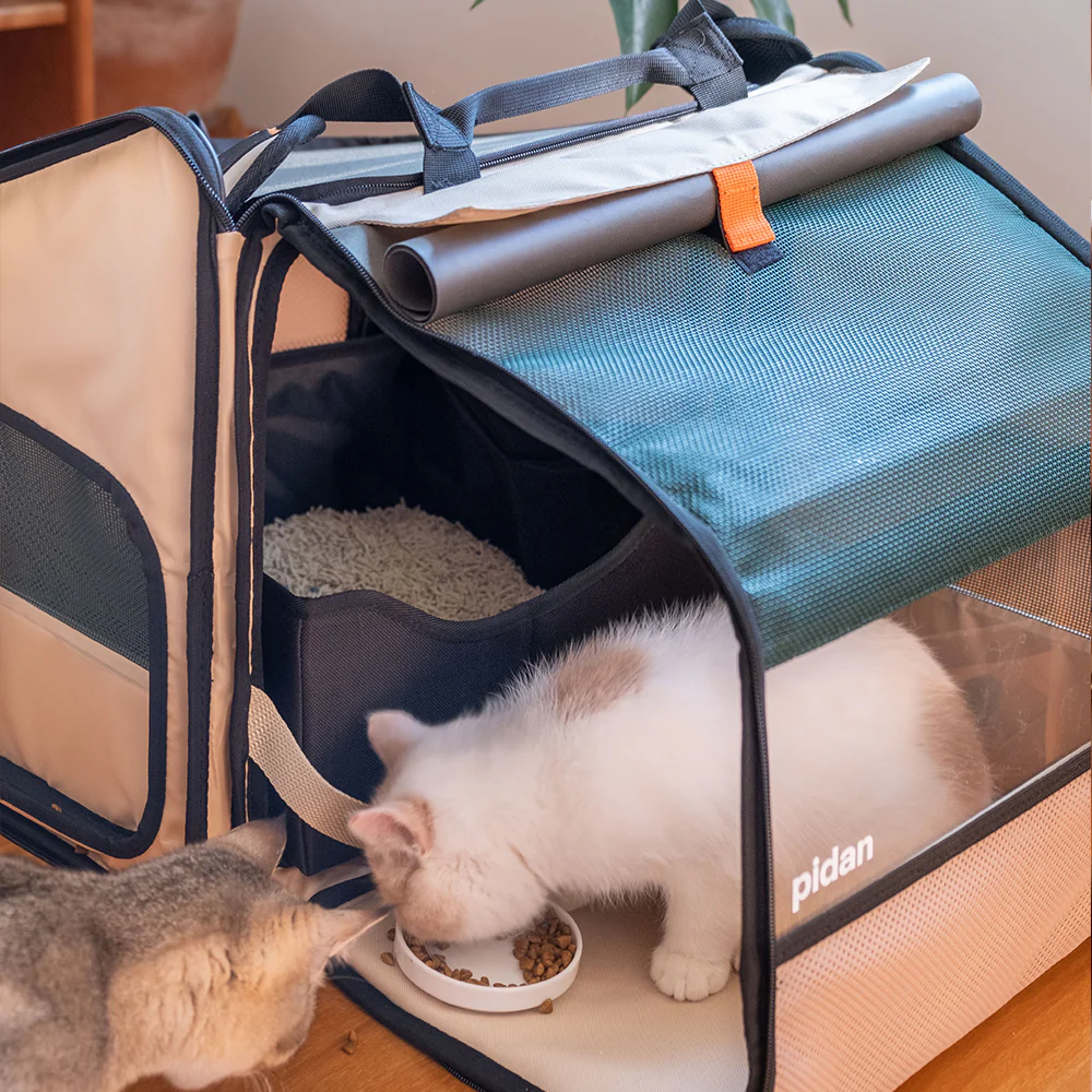 PIDAN Expandable Mesh Pet Backpack Carrier - Image 11
