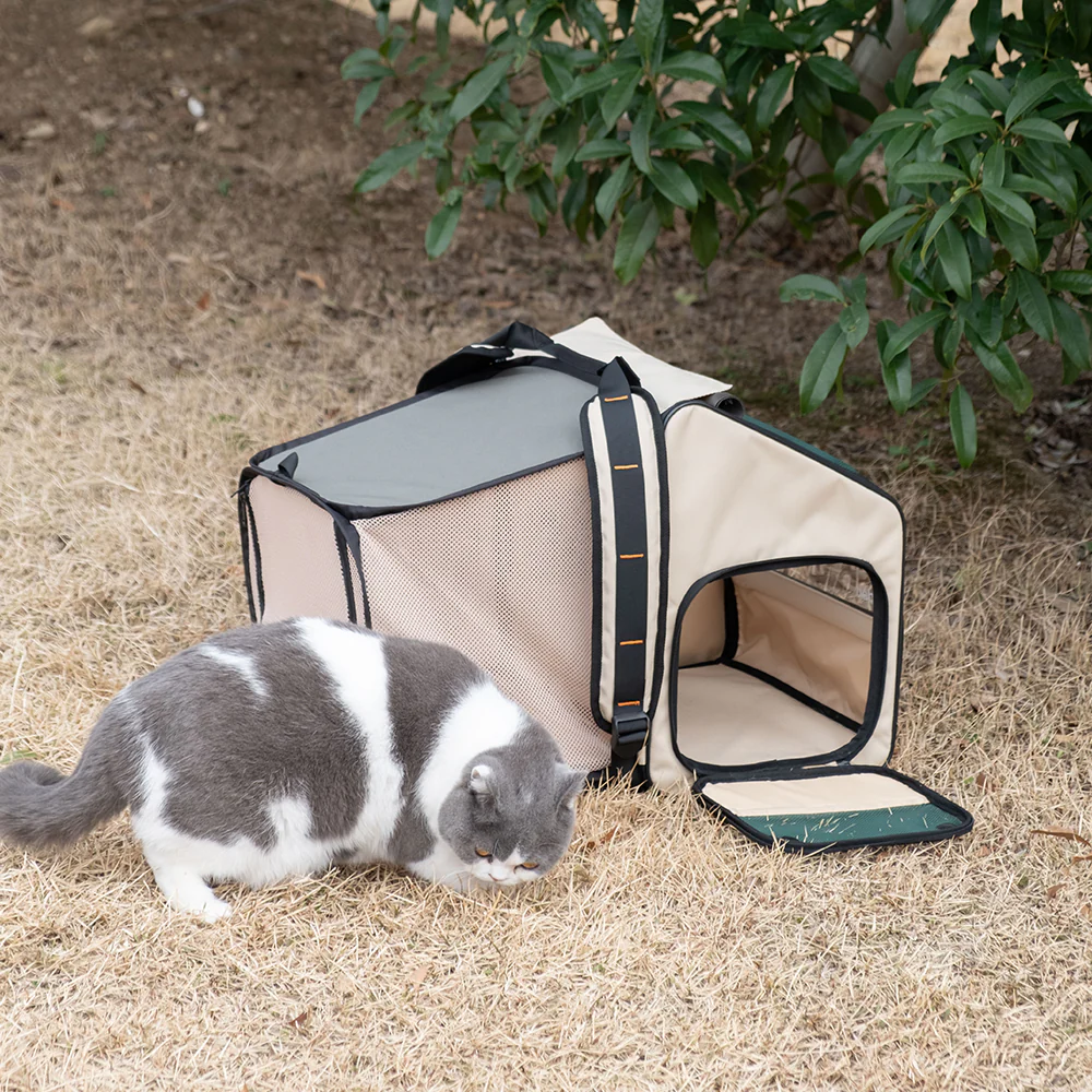 PIDAN Expandable Mesh Pet Backpack Carrier - Image 13