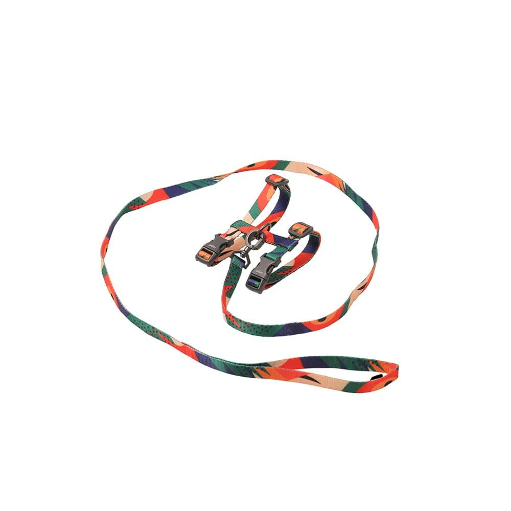 PIDAN Harness & Leash Set for Cats