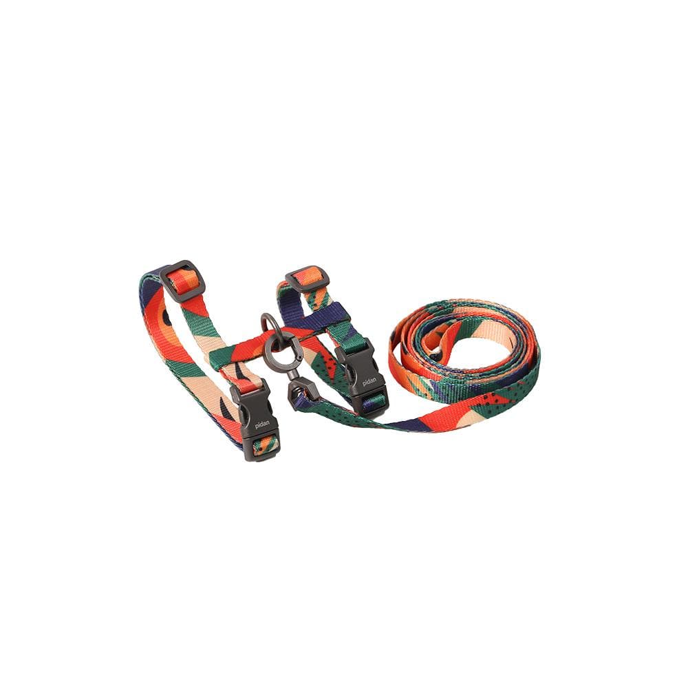 PIDAN Harness & Leash Set for Cats - Image 3