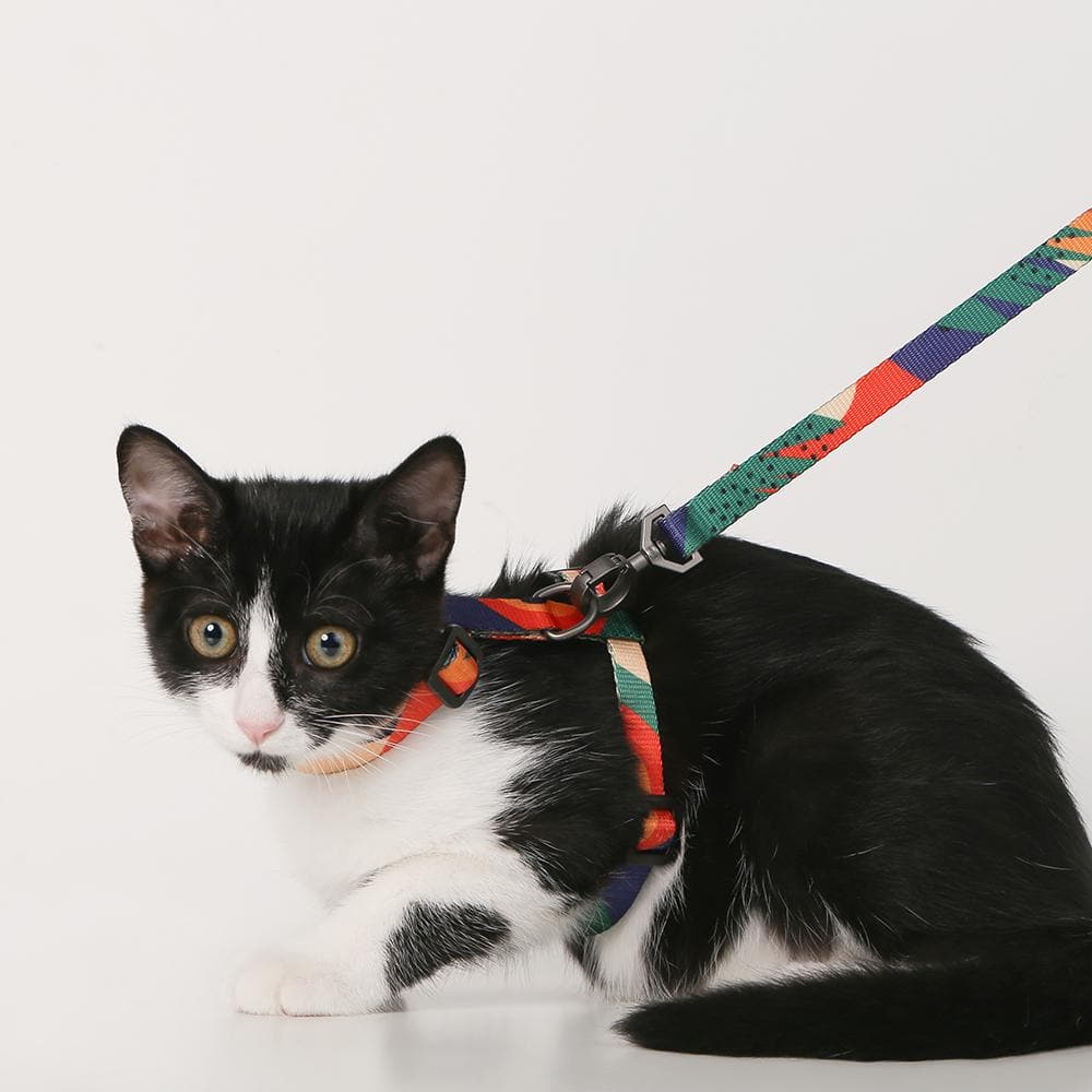 PIDAN Harness & Leash Set for Cats - Image 6