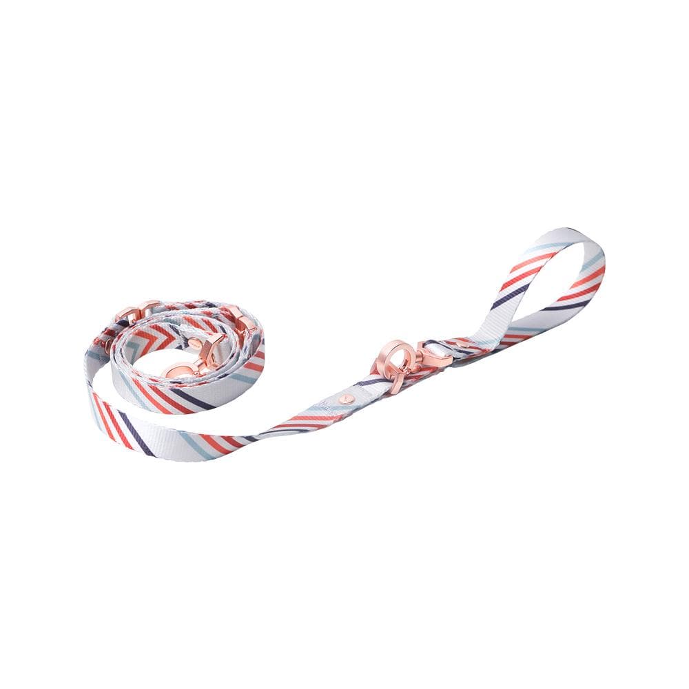 PIDAN A1 Bracelet Dog Leash