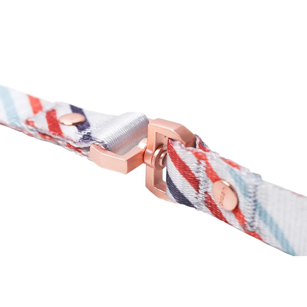 PIDAN A1 Bracelet Dog Leash - Image 4