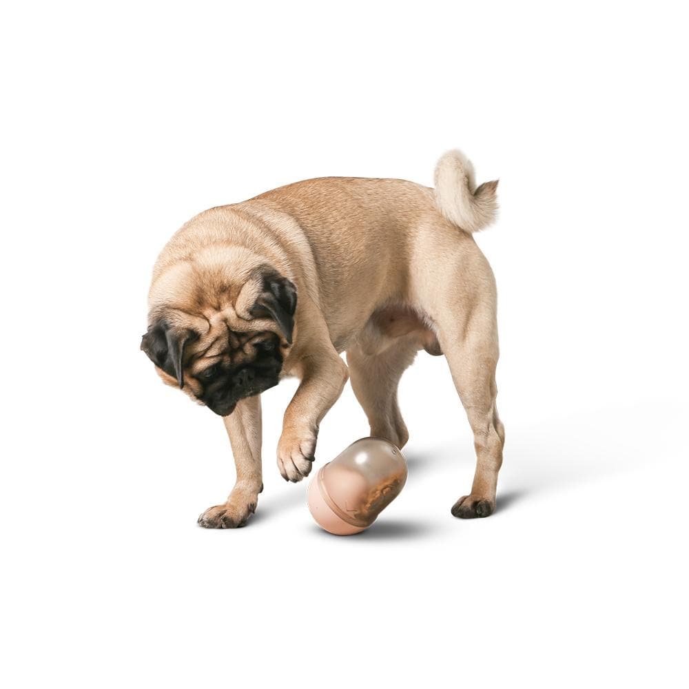 PIDAN Pink Capsule Pet Dispenser Toy - Image 2